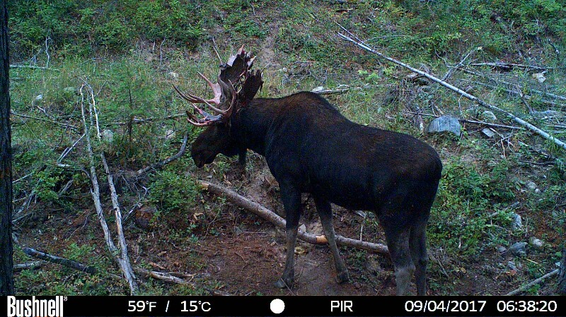 HUNT0263-800x449.JPG