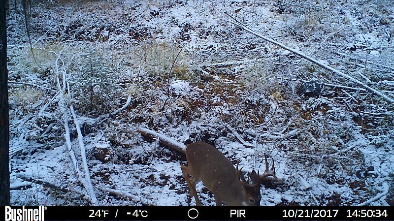 HUNT0294-800x449.JPG