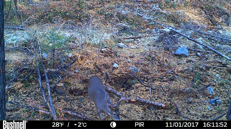HUNT0292-800x449.JPG