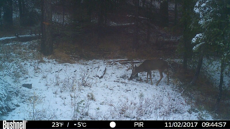 HUNT0262-800x449.JPG