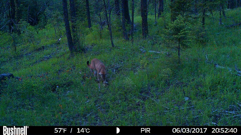 HUNT0235-800x449.JPG