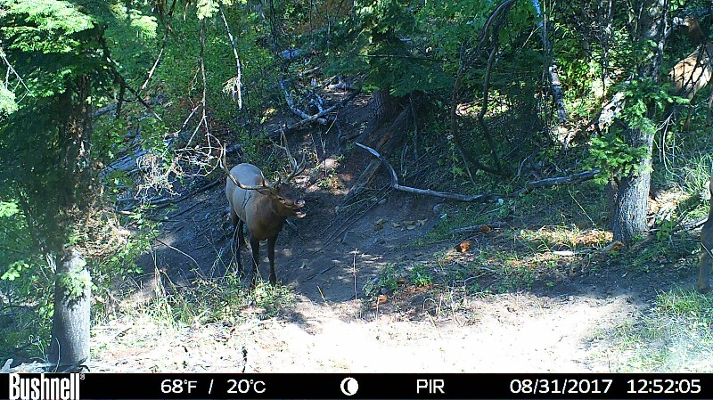 HUNT0017-800x449.JPG