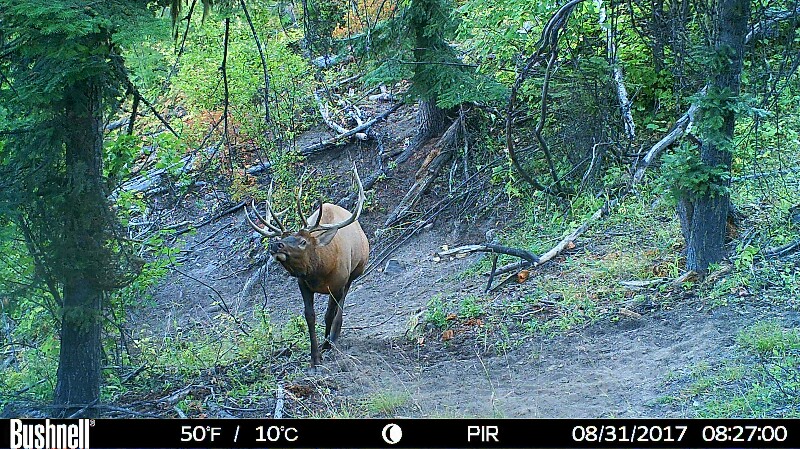 HUNT0217-800x449.JPG
