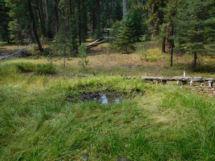 Pic#3 - Swede.JPG