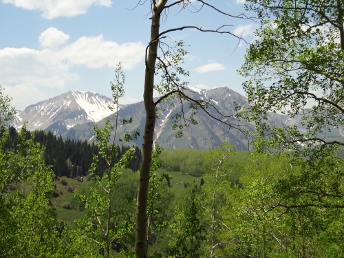 DSC00104 (500x375).jpg