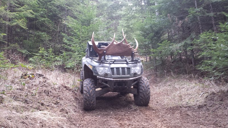 NOV 17 - Huntin Rig - WAWhitey.jpg