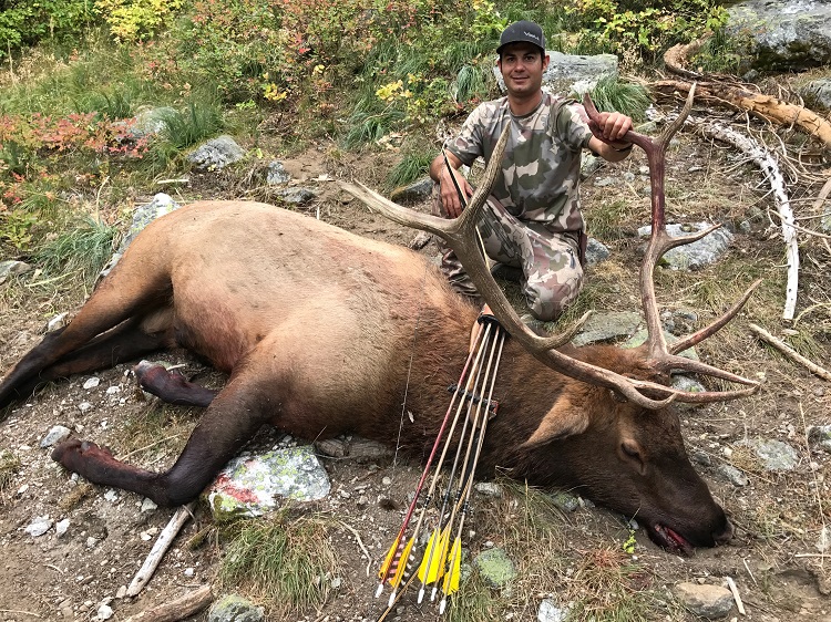2018 Paull II 5pt ID Bull.JPG