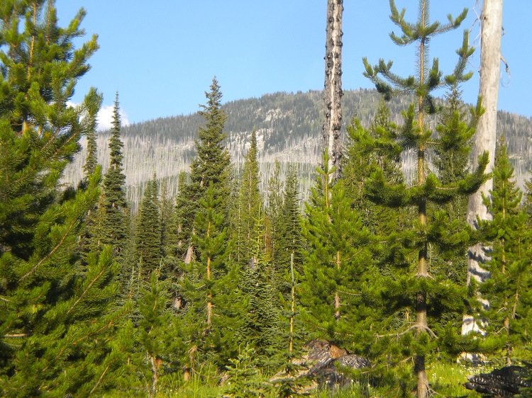 DSCN2254.JPG