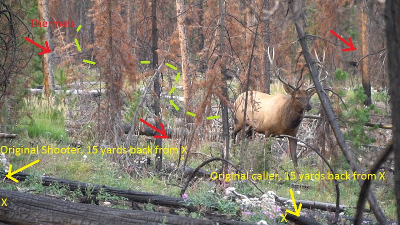 Elk1 w-Mark up.jpg