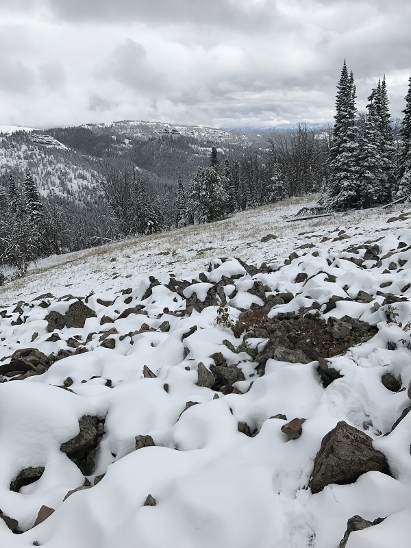 resized landscape.jpg