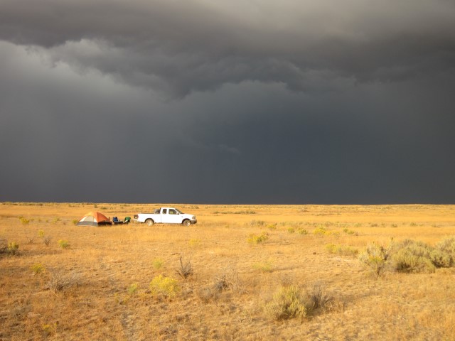 IMG_4720 (Small).JPG