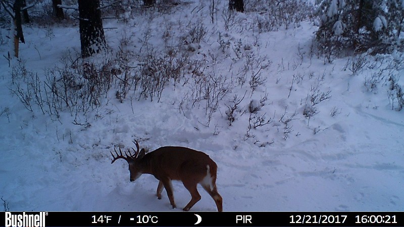 HUNT0031-800x449.JPG