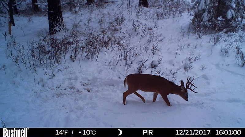 HUNT0033-800x449.JPG