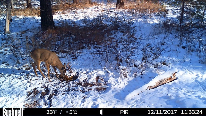 HUNT0186-800x449.JPG