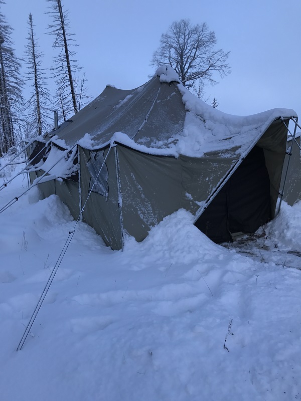 #3 MAR 18 Tigger.jpg