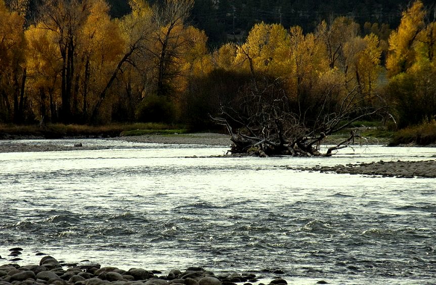ClearwaterRiver.jpg