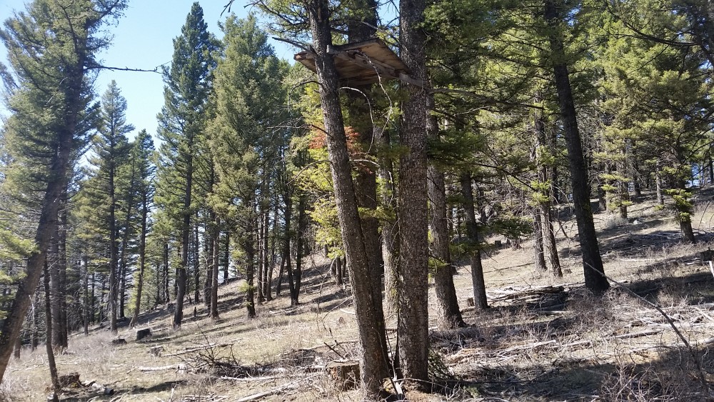 20180427_145917.jpg