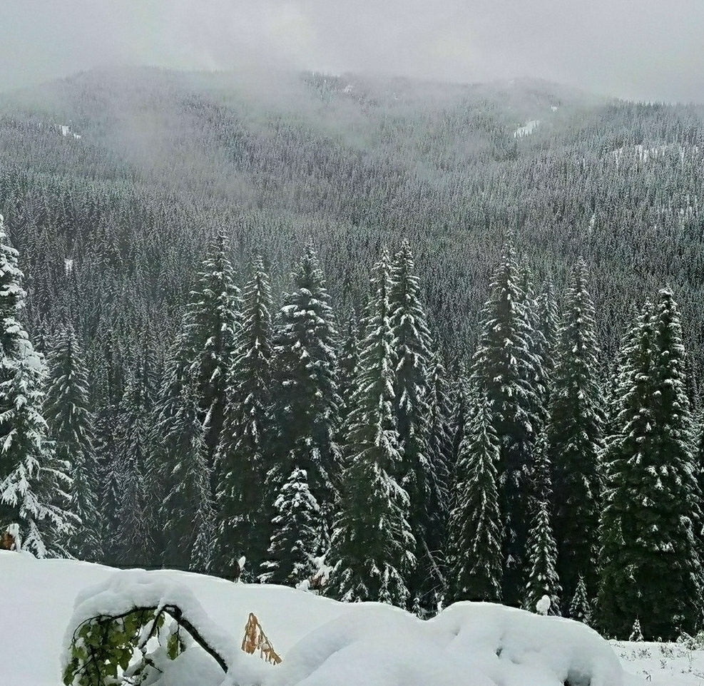 20180430_113347.jpg