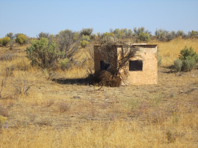 IMG_4726 (Small).JPG