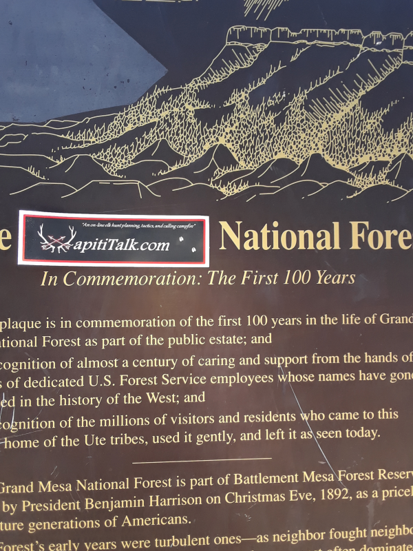 WTnatlforestpic.png