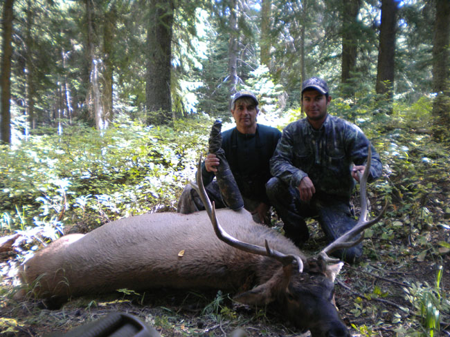 Paul II 2010 bull - 10.jpg