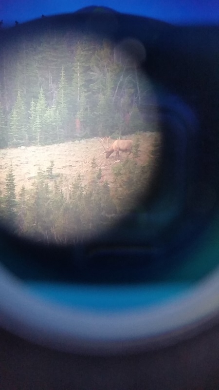 Spotter.jpg