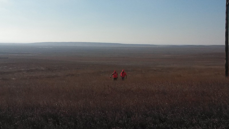 Prairie .jpg