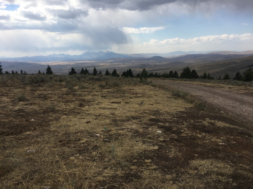 69061E61-50CF-4160-A0DE-2B4CF663B61C.jpeg