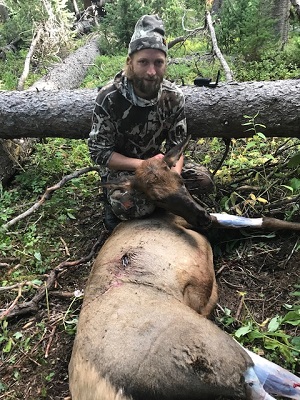 elk pic 6.jpg