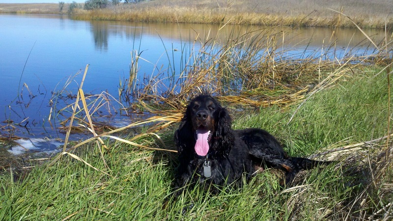 Resampled_2013-10-13_13-07-48_593 - Copy.jpg