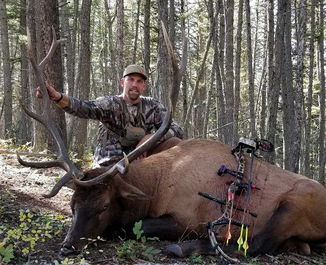 resized elk picture.png