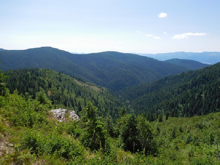 Idaho Hunt 013.JPG