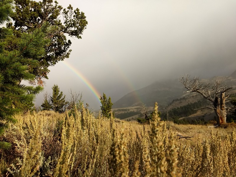 rainbow0.jpg