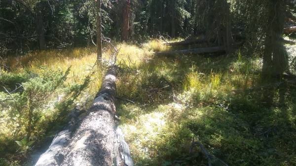 00q0q_7sxfWbur9W7_600x450.jpg