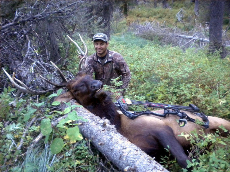 2016 Paul II Six Point Bull 06.jpg