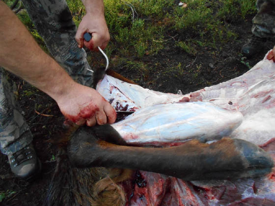 Meat_hook.jpg