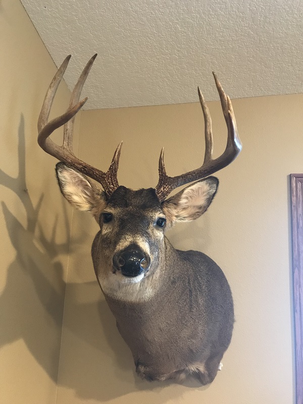 Buck mount resized.jpg