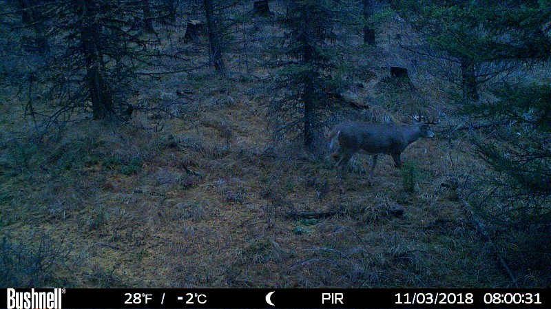 HUNT0201-800x449.JPG