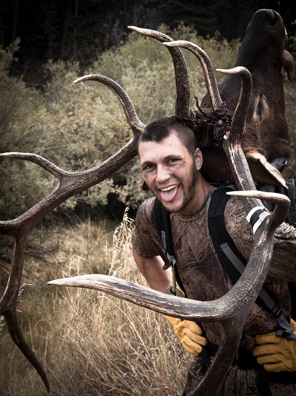 BullElk.jpg