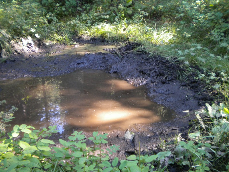 DSCN1886.JPG